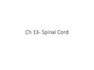 Ch 13 Spinal Cord Meninges surround brain sc