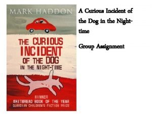 A Curious Incident of the Dog in the