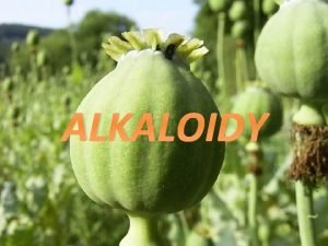 ALKALOIDY duskat organick ltky vrazn biologick inok na