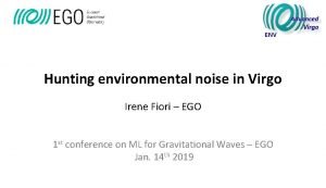 Hunting environmental noise in Virgo Irene Fiori EGO
