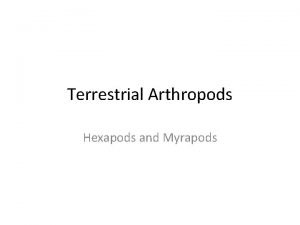 Myrapods