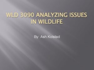 WLD 3090 ANALYZING ISSUES IN WILDLIFE By Ash