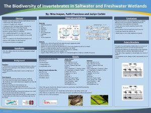 The Biodiversity of Invertebrates in Saltwater and Freshwater