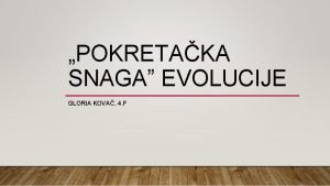 Makroevolucija