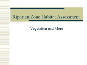 Riparian Zone Habitat Assessment Vegetation and More What