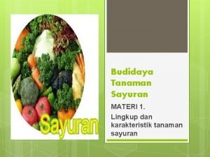 Budidaya Tanaman Sayuran MATERI 1 Lingkup dan karakteristik