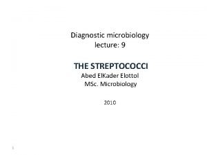 Diagnostic microbiology lecture 9 THE STREPTOCOCCI Abed El