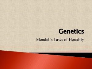 Genetics Mendels Laws of Heredity Genetics Main Concepts