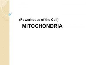 Powerhouse of the Cell MITOCHONDRIA Mitochondria singular mitochondrion