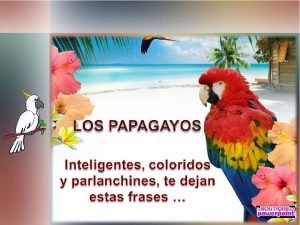 El agradecimiento es la memoria del corazón El agradecimiento es la memoria del corazón