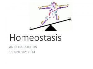 What homeostasis