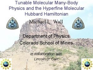 Tunable Molecular ManyBody Physics and the Hyperfine Molecular