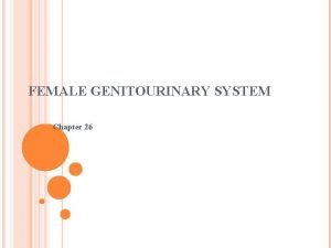 FEMALE GENITOURINARY SYSTEM Chapter 26 Structure and Function