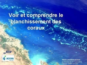 Voir et comprendre le blanchissement des coraux MarieJos