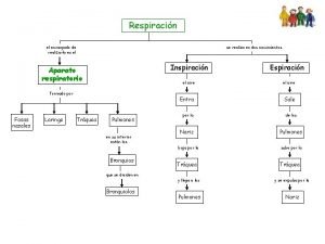 Respiracin el encargado de realizarla es el se