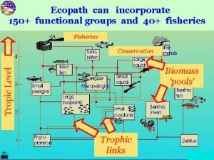 Ecopath can incorporate 150 functional groups and 40