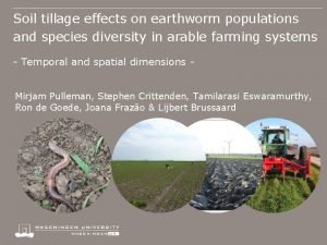 Soil tillage effects on earthworm populations and species