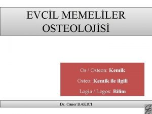 EVCL MEMELLER OSTEOLOJS Os Osteon Kemik Osteo Kemik