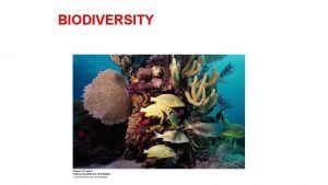 BIODIVERSITY V Biodiversity Patterns and Processes A The