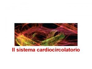 Il sistema cardiocircolatorio Una visione dinsieme Il sistema