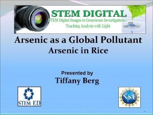Arsenic as a Global Pollutant Arsenic in Rice