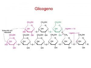 Udp glucosio pirofosforilasi