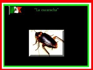 Ya murio la cucaracha ya la llevan a enterrar