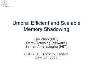 Memory shadowing in embedded system