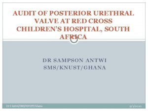 AUDIT OF POSTERIOR URETHRAL VALVE AT RED CROSS