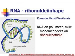 RNA ribonukleiinhape Koosatas Kersti Veskimets RNA on polmeer
