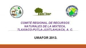 COMIT REGIONAL DE RECURSOS NATURALES DE LA MIXTECA