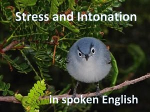 Stress and Intonation in spoken English For people