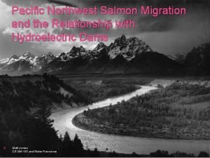 Pacific Northwest Salmon Migration and the Relationship with