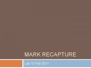 MARK RECAPTURE Lab 10 Fall 2011 Why We