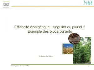 Efficacit nergtique singulier ou pluriel Exemple des biocarburants