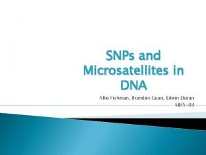 SNPs and Microsatellites in DNA Allie Fishman Brandon