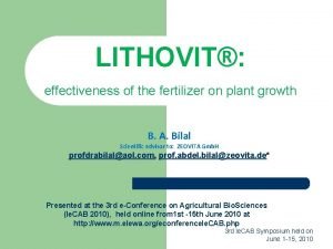 LITHOVIT effectiveness of the fertilizer on plant growth