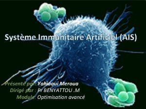 Systme Immunitaire Artificiel AIS Prsent par Yahiaoui Meroua