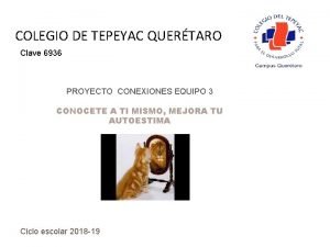 COLEGIO DE TEPEYAC QUERTARO Clave 6936 PROYECTO CONEXIONES