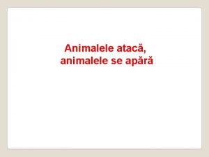 Animalele atac animalele se apr Mnnc dar s