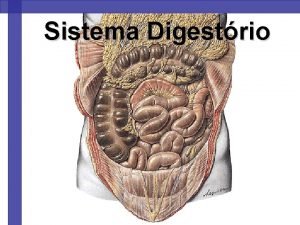 Sistema Digestrio Elementos Constituintes Boca Vestbulo da boca