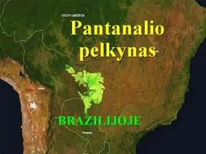 Pantanalio pelkynas BRAZILIJOJE Pantanalis portug Pantanal didiausia pasaulyje