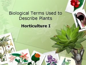 Biological Terms Used to Describe Plants Horticulture I