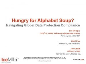 Hungry for Alphabet Soup Navigating Global Data Protection