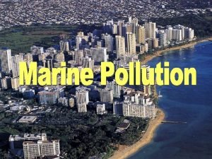 Marine Pollutants Petroleum hydrocarbons Plastics Pesticides Heavy metals