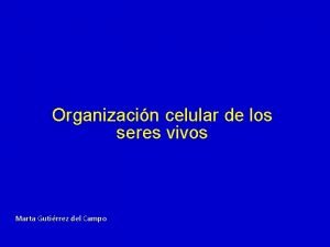 Organizacin celular de los seres vivos Marta Gutirrez