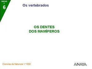 Dentes dos carnivoros