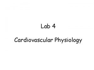 Lab 4 Cardiovascular Physiology Lab 4 Cardiovascular Physiology