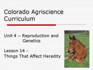 Colorado Agriscience Curriculum Unit 4 Reproduction and Genetics