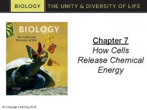 Chapter 7 How Cells Release Chemical Energy Cengage